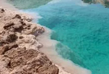 واحة سيوة