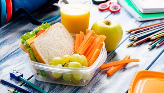 افكار لانش بوكس للاطفال