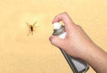 افضل طريقة للقضاء على الذباب بخلطات منزليّة بسيطة