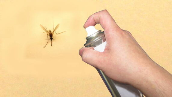 افضل طريقة للقضاء على الذباب بخلطات منزليّة بسيطة