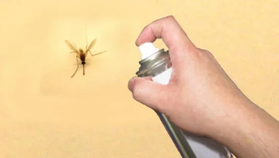 افضل طريقة للقضاء على الذباب بخلطات منزليّة بسيطة